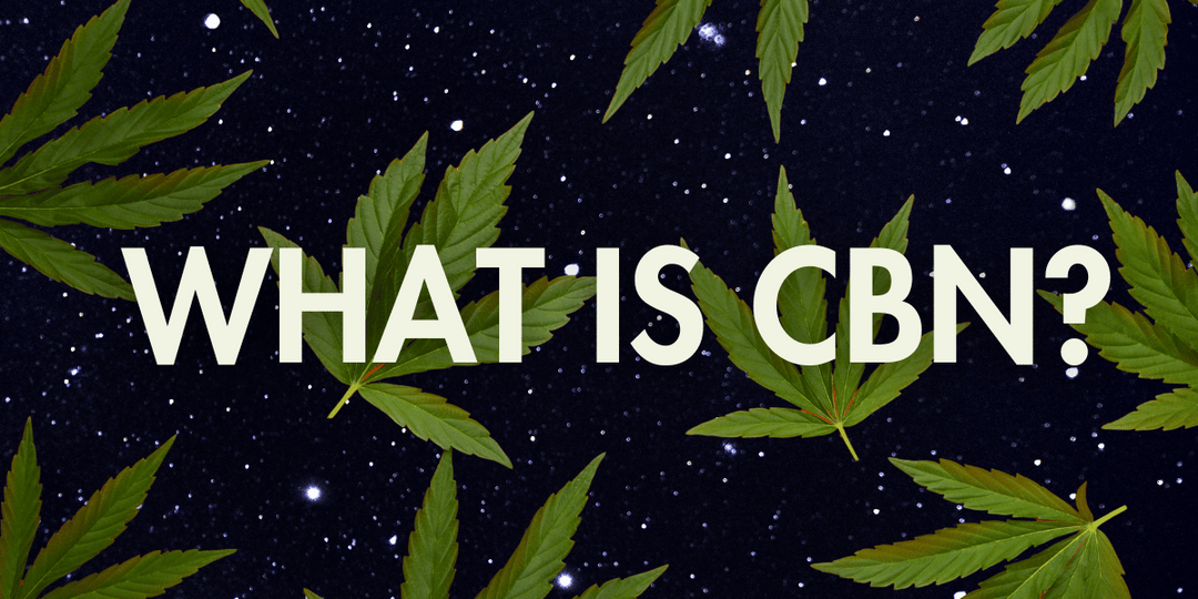 What is CBN? A Beginner’s Guide to the Cannabinoid of Calm