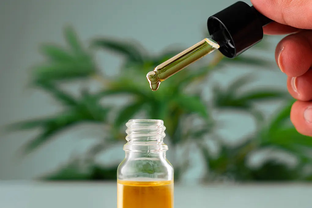 Distillate vs. Live Resin Cart