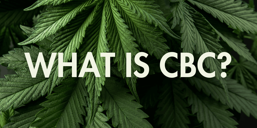 What Is CBC? Exploring the Unsung Cannabinoid in Cannabis