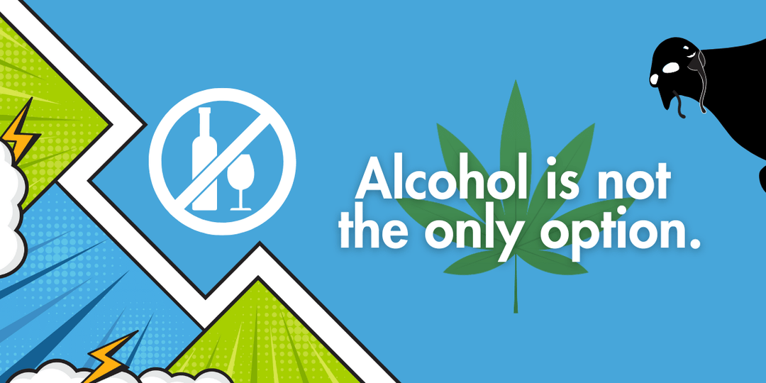 New Year, New You : Rethinking Alcohol in 2026.