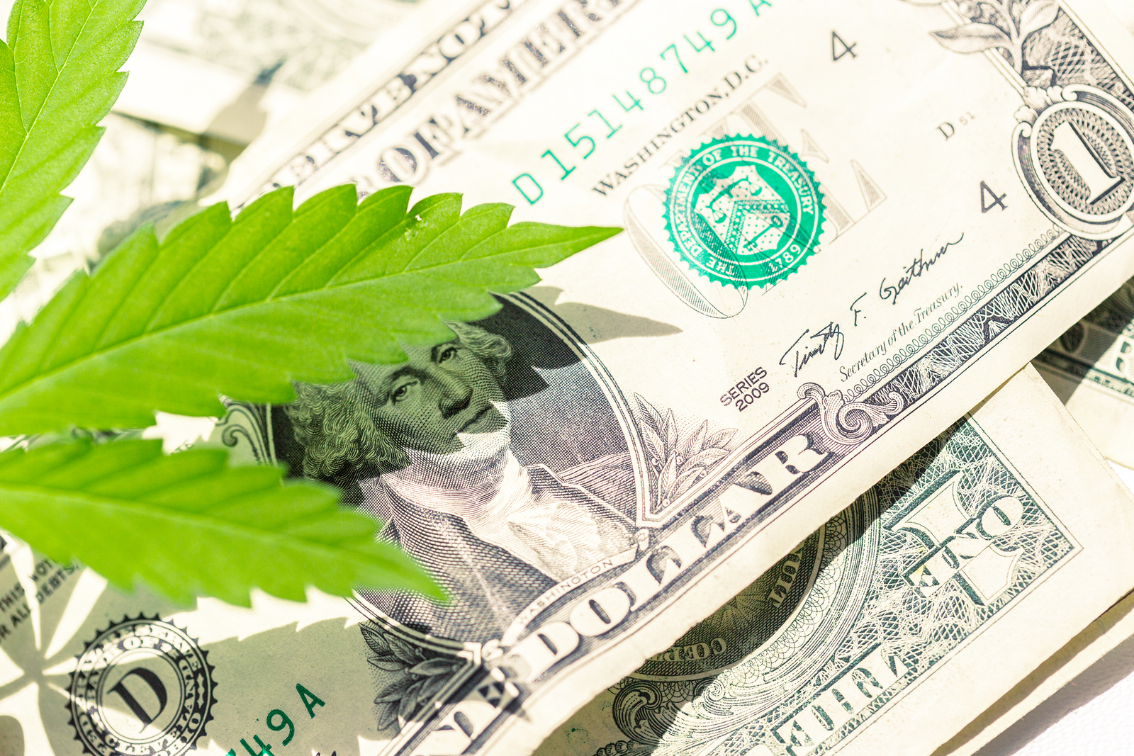 Understanding Minnesota Cannabis Tax