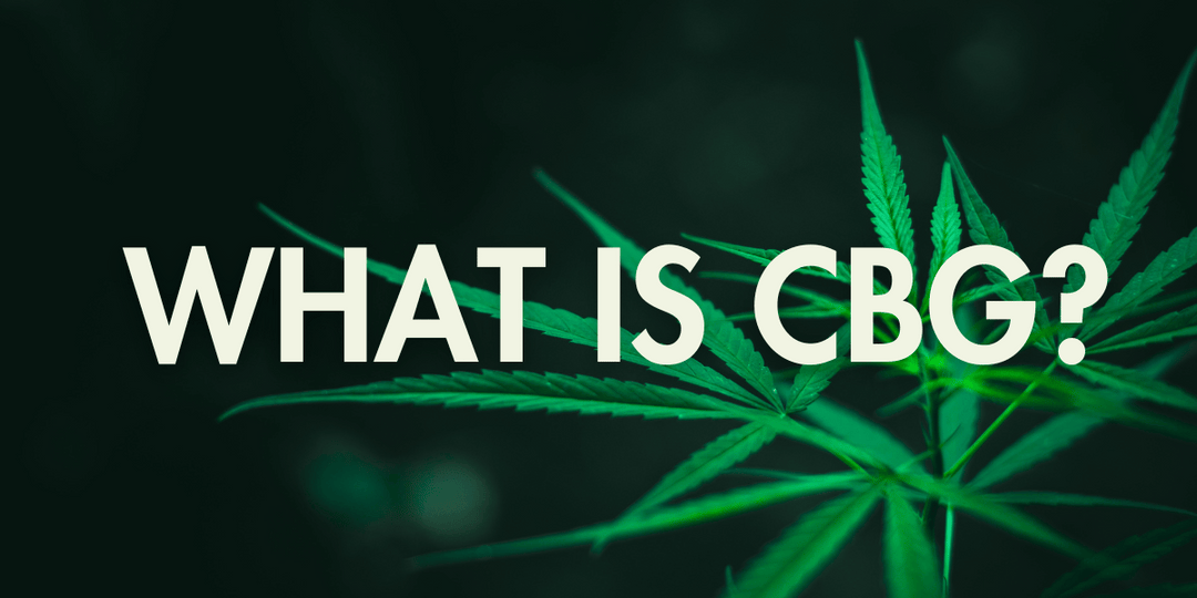 What is CBG? A Beginner’s Guide to the “Mother of All Cannabinoids”