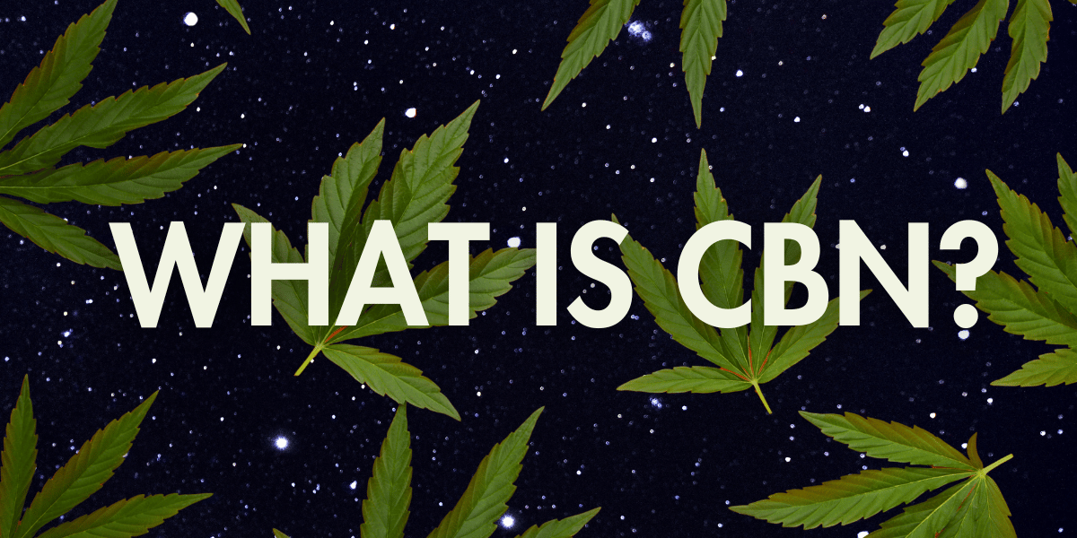 What is CBN? A Beginner’s Guide to the Cannabinoid of Calm