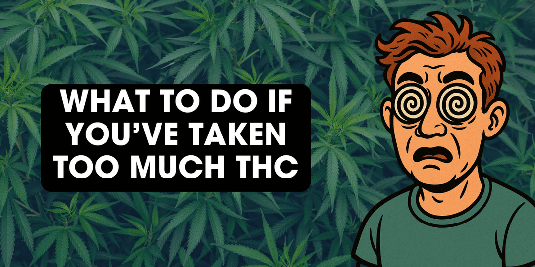 What To Do If You've Taken Too Much THC