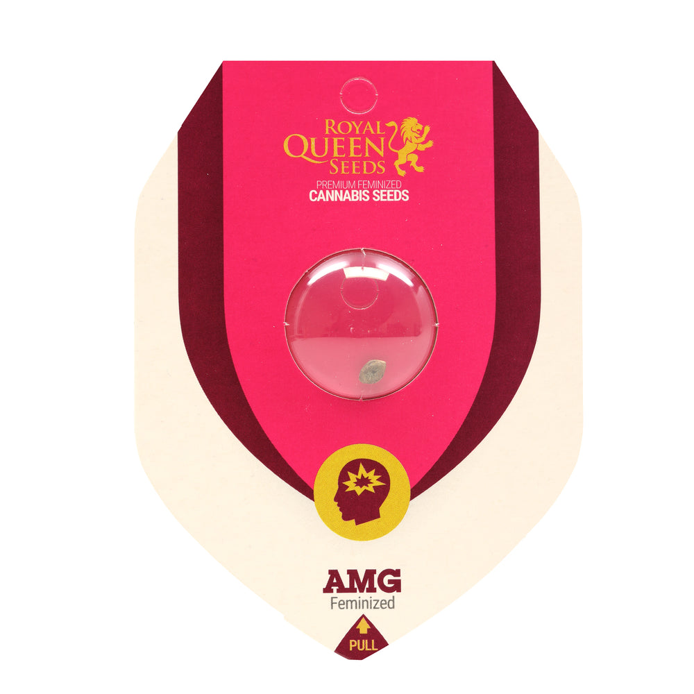 Royal Queen Feminized  Seeds - AMG - Sativa - Smokeless - Vape and CBD