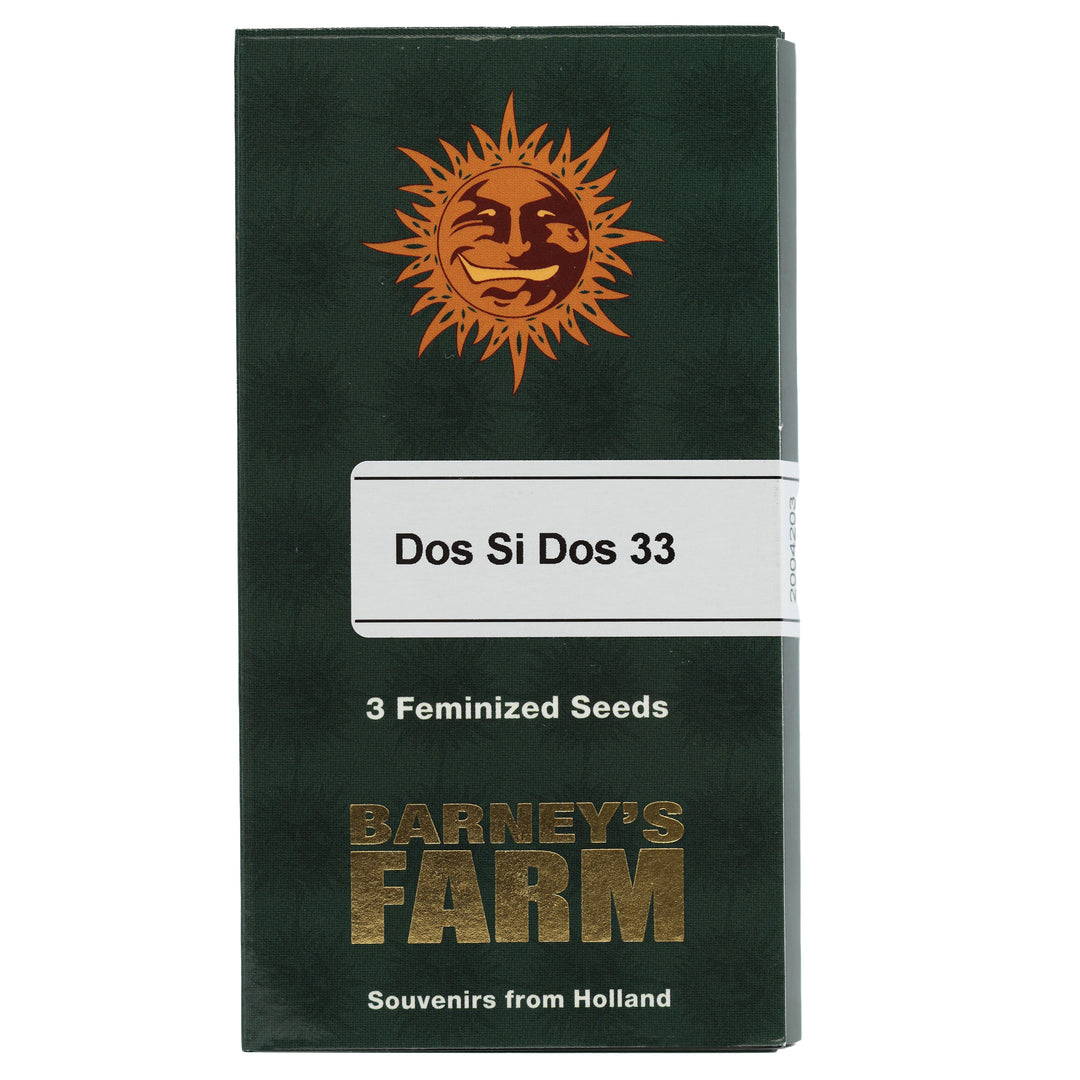 Barney's Feminized Seeds - Dos Si Dos 33 - Hybrid 3-Pack - Smokeless - Vape and CBD