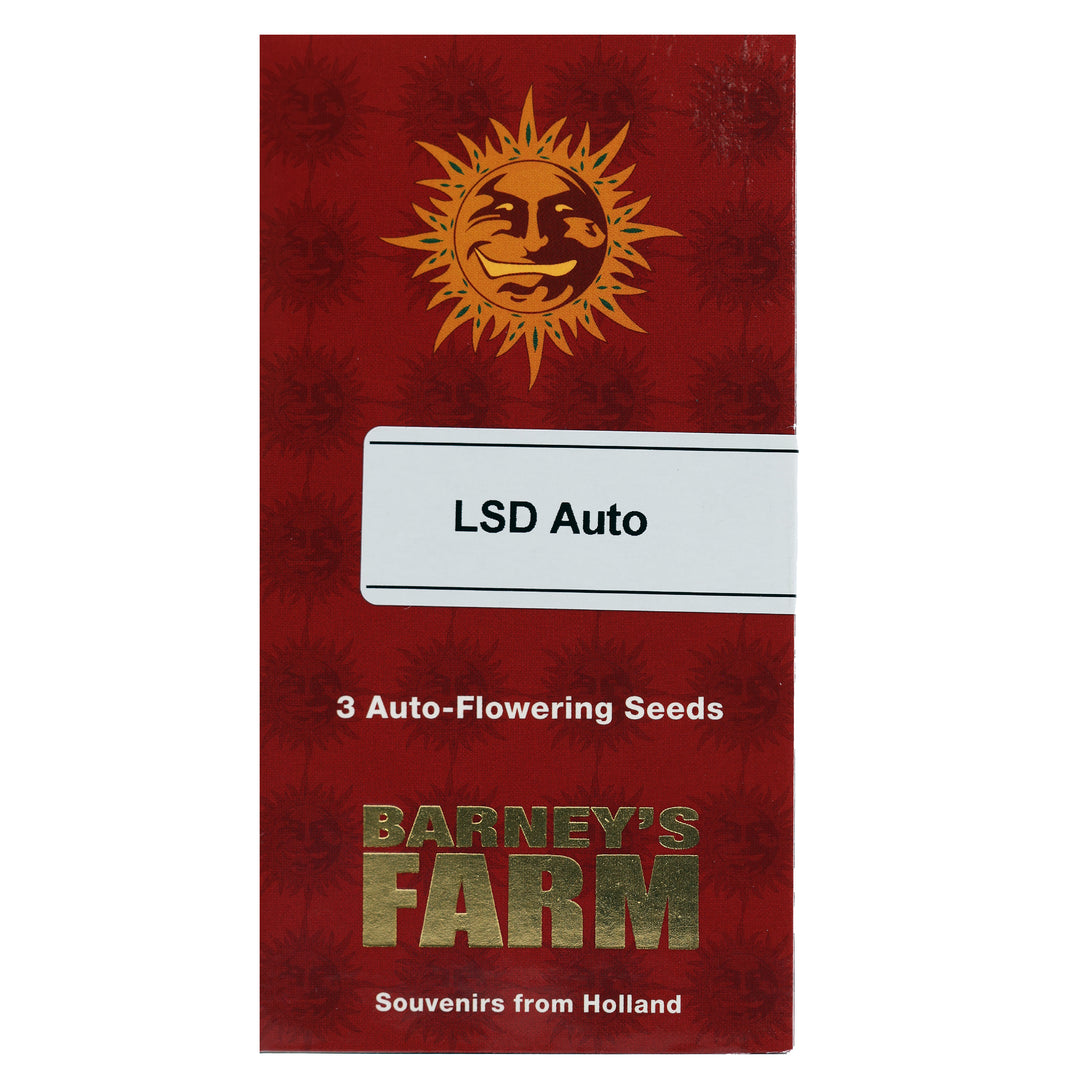 Barney's Feminized Autoflower Seeds - LSD Auto - Indica Hybrid 3-Pack - Smokeless - Vape and CBD