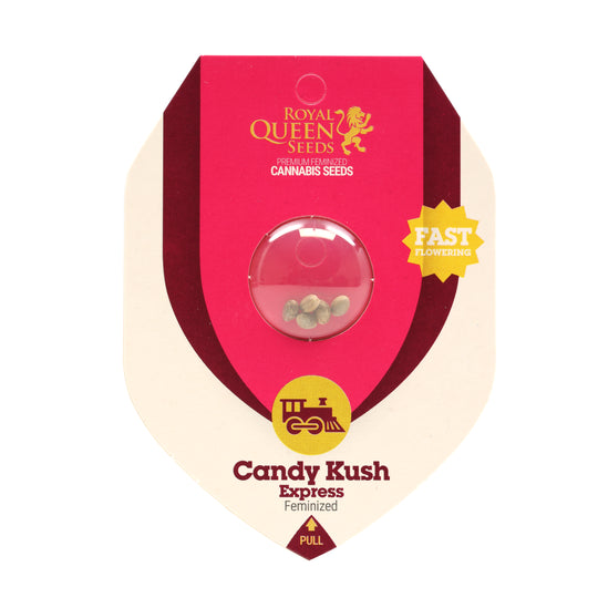Royal Queen Feminized  Seeds - Candy Kush Express- Hybrid - Smokeless - Vape and CBD
