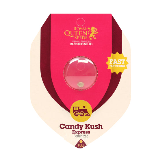 Royal Queen Feminized  Seeds - Candy Kush Express- Hybrid - Smokeless - Vape and CBD