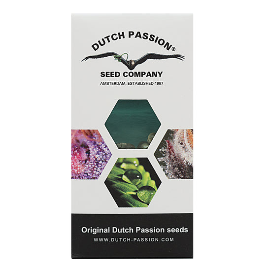 Dutch Passion Feminized Autoflower Seeds - Colorado Cookies Auto - Indica Hybrid 7-Pack - Smokeless - Vape and CBD