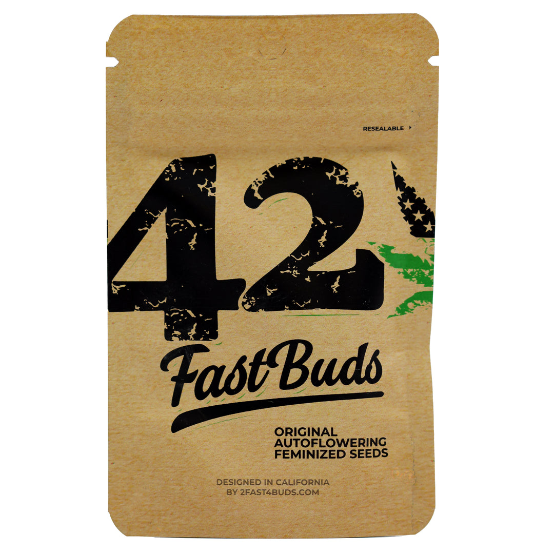 Fast Buds Feminized Autoflower Seeds - Original Big Bud Auto - Indica Hybrid 5-Pack - Smokeless - Vape and CBD
