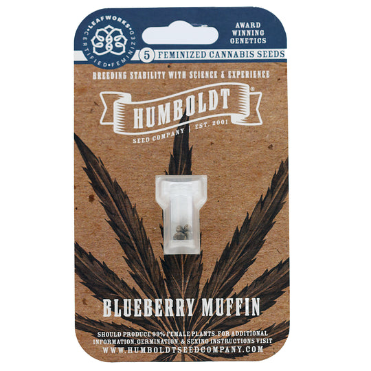 Humboldt Seed Co. Feminized Seeds - Blueberry Muffin - Indica Hybrid 5-Pack - Smokeless - Vape and CBD