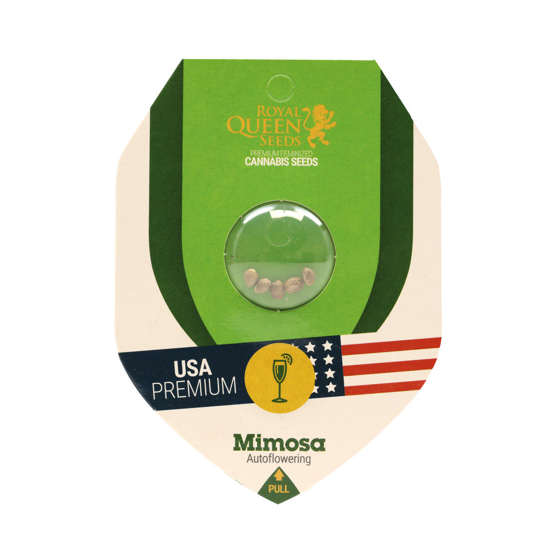 Royal Queen USA Premium Feminized Autoflower Seeds - Mimosa - Sativa Hybrid - Smokeless - Vape and CBD