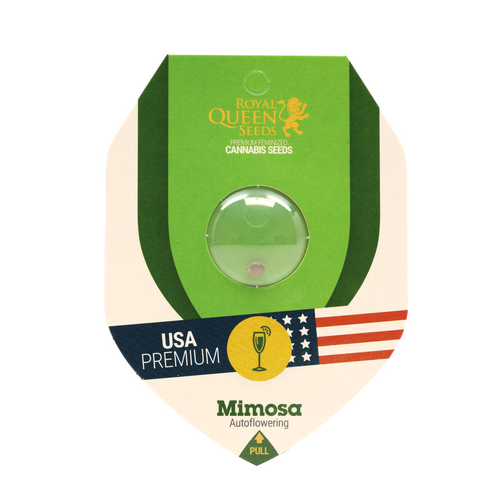Royal Queen USA Premium Feminized Autoflower Seeds - Mimosa - Sativa Hybrid - Smokeless - Vape and CBD