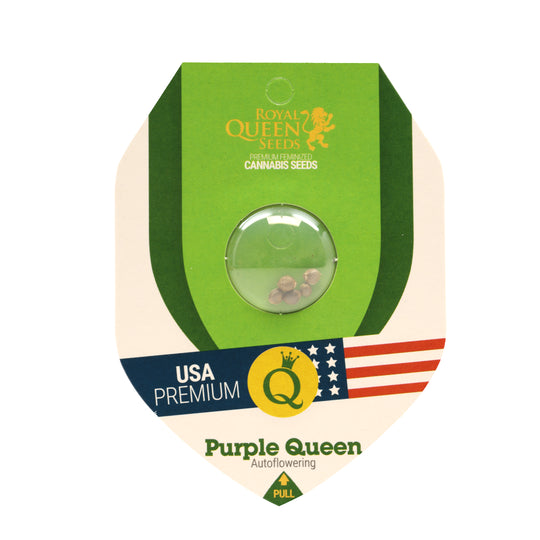 Royal Queen USA Premium Feminized Autoflower Seeds - Purple Queen - Indica - Smokeless - Vape and CBD