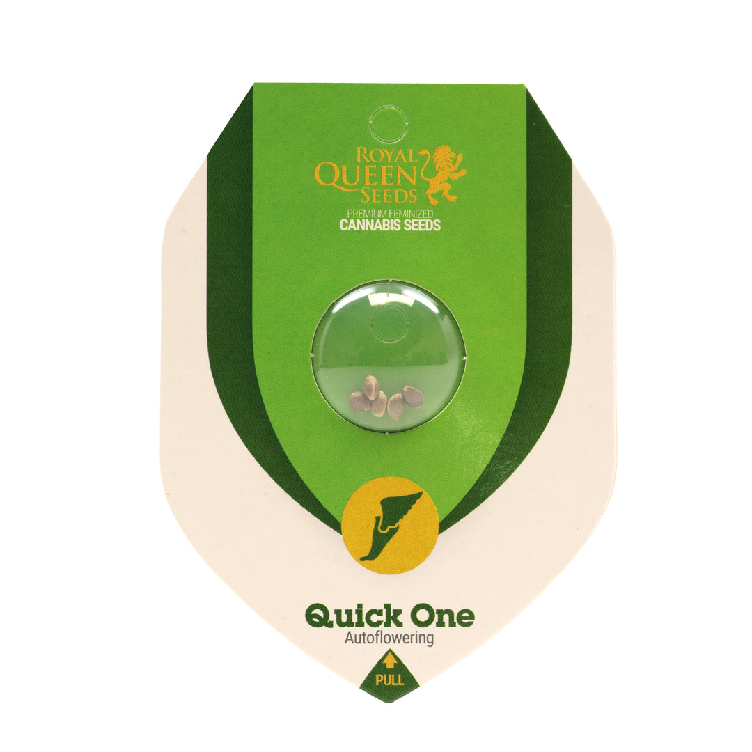 Royal Queen Feminized Autoflower Seeds - Quick One - Indica - Smokeless - Vape and CBD