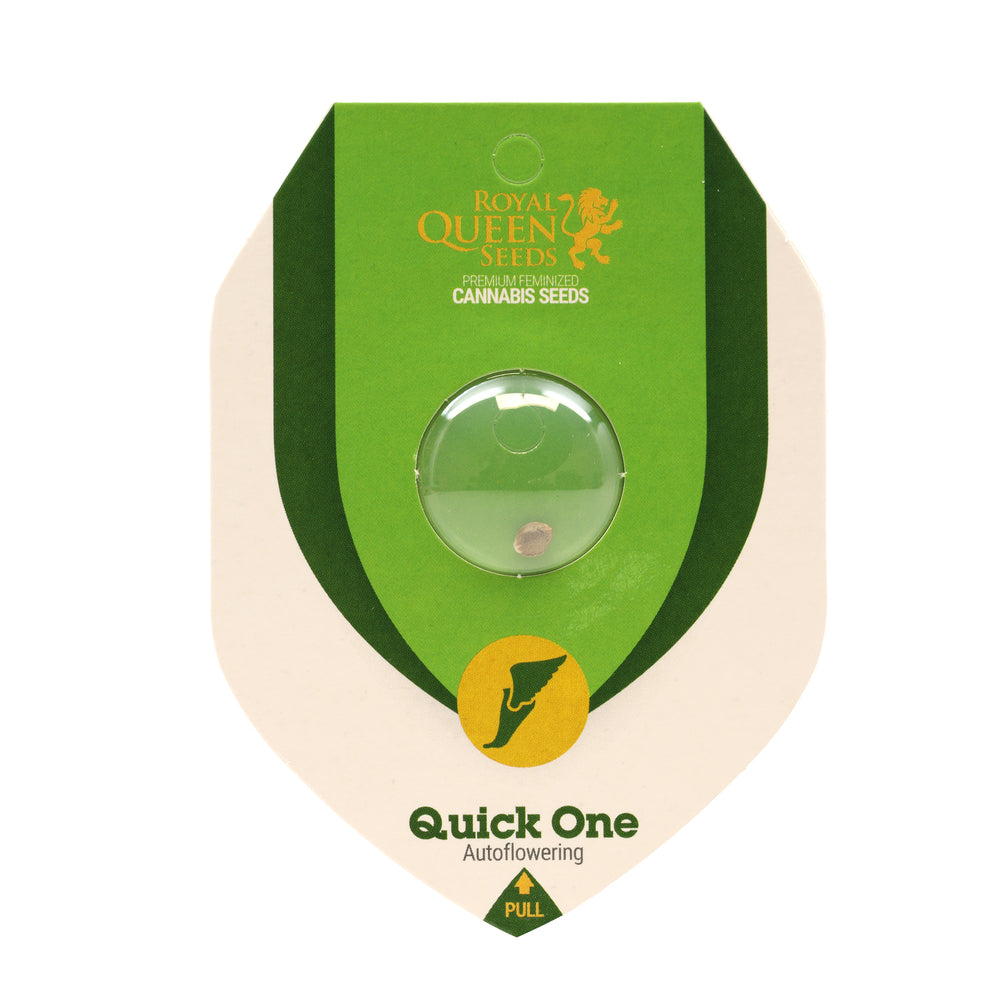 Royal Queen Feminized Autoflower Seeds - Quick One - Indica - Smokeless - Vape and CBD