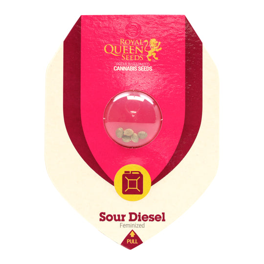 Royal Queen Feminized  Seeds - Sour Diesel- Sativa - Smokeless - Vape and CBD