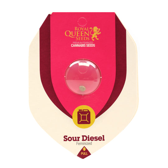 Royal Queen Feminized  Seeds - Sour Diesel- Sativa - Smokeless - Vape and CBD