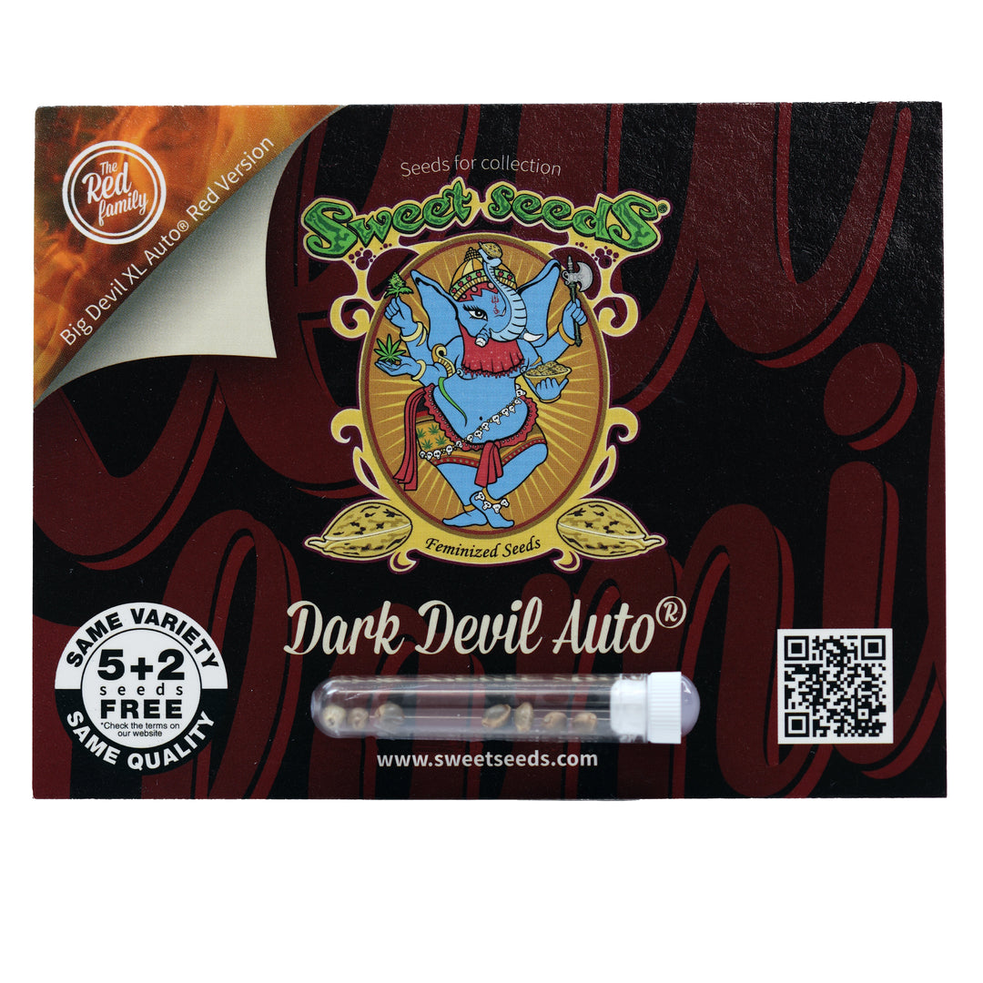 Sweet Seeds Feminized Autoflower Seeds - Dark Devil Auto - Hybrid 5-Pack - Smokeless - Vape and CBD