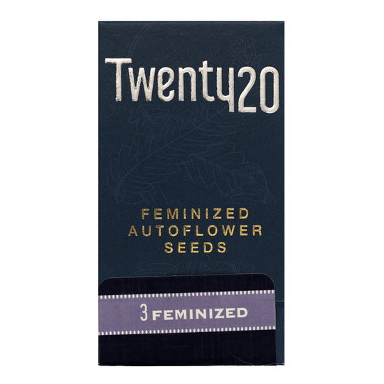 Twenty20 Mendocino Feminized Autoflower Seeds - Durban Sunrise - Hybrid 3-Pack - Smokeless - Vape and CBD